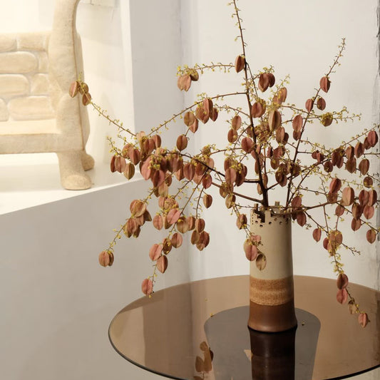 Terra Horizon Ceramic Vessel